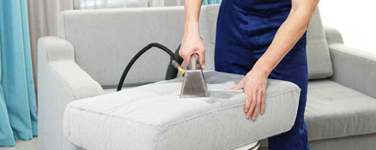Best Upholstery Cleaning Caboolture